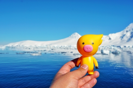 彈個車、飛豬聯(lián)合洽洽創(chuàng)新品牌營銷，用“免費南極游”撬動年輕消費市場