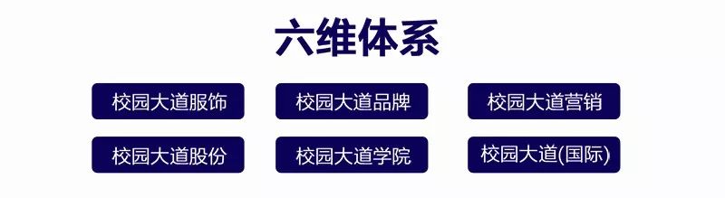 校園大道商學(xué)院品牌營銷全案