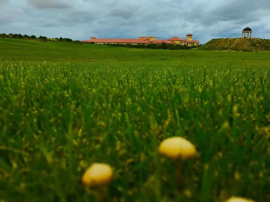 沙恩國際莊園攜手2018圣牧杯國誼賽暨首屆烏蘭布和沙漠沙產(chǎn)業(yè)博覽會(huì)新聞發(fā)布