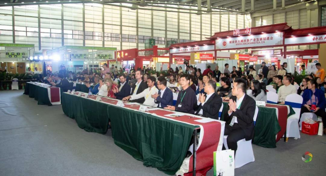 2018梧州六堡茶行銷全球國際營銷論壇圓滿舉行!