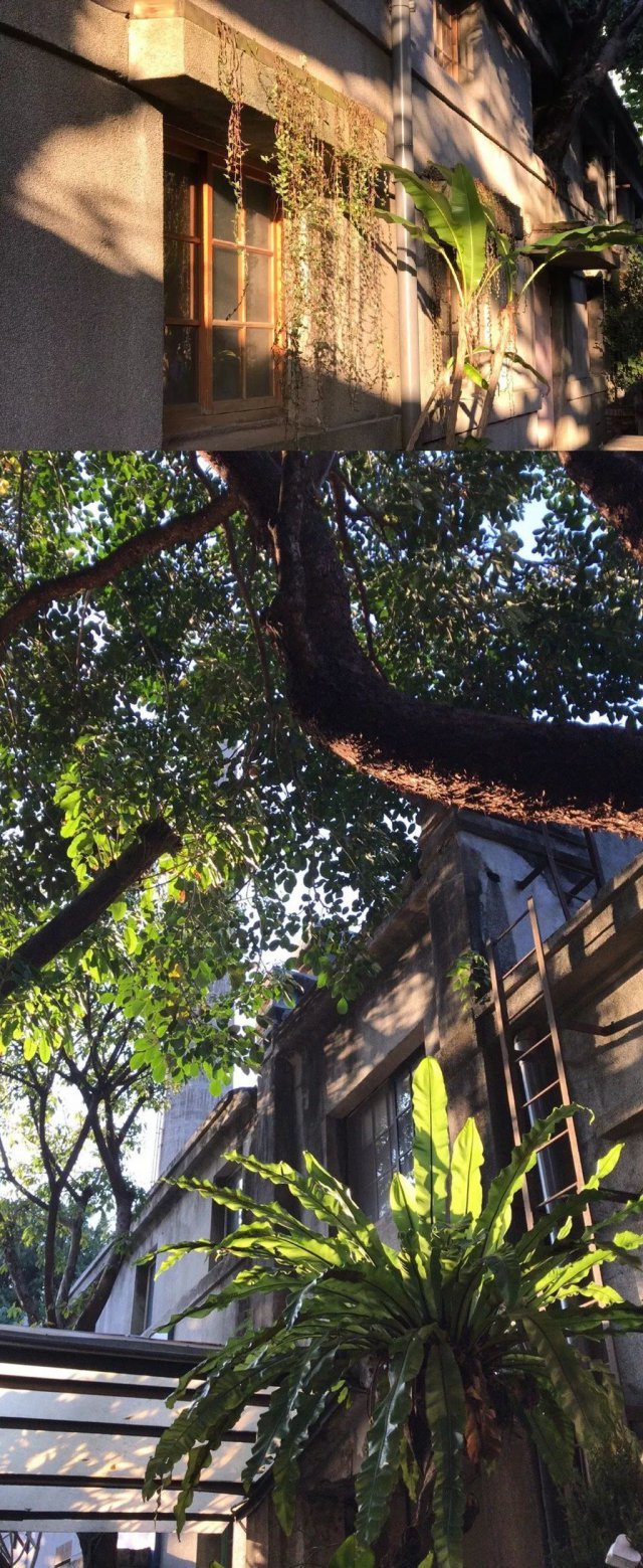 周杰在娛樂圈混不下去了？人家可是低調(diào)的億萬富豪！