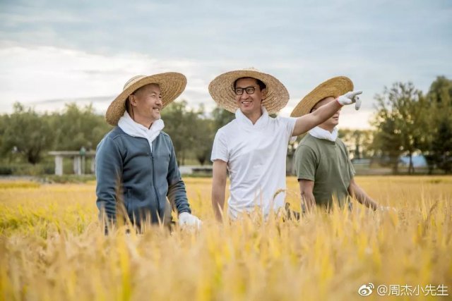 周杰在娛樂圈混不下去了？人家可是低調(diào)的億萬富豪！