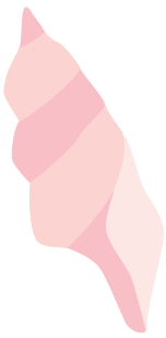 誰是世界杯品牌營銷的大贏家？