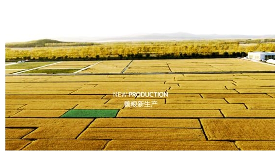 善糧味道顛覆傳統(tǒng)，創(chuàng)造新零售品牌營(yíng)銷新思路