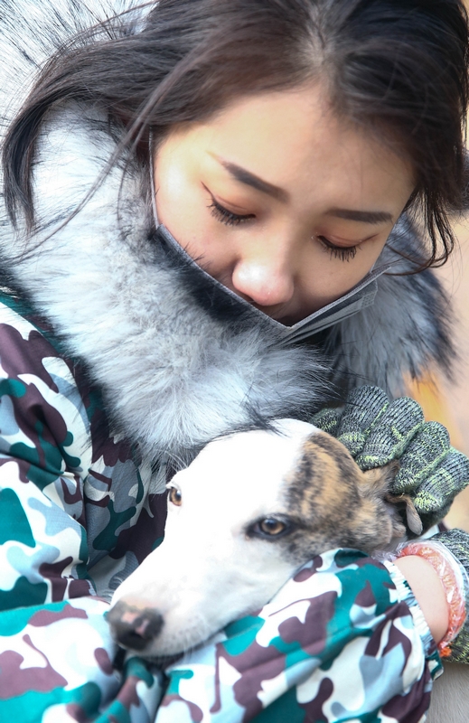 90后女孩為流浪動物搭建愛的