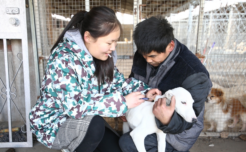90后女孩為流浪動物搭建愛的