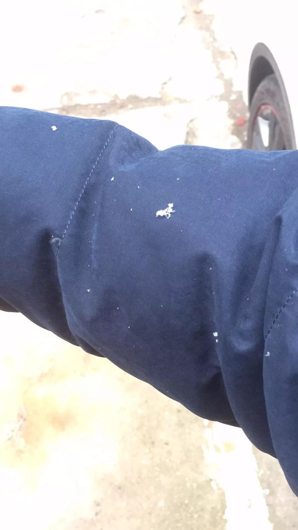 剛剛！南昌下雪啦！明后天還有更大的！江西元旦天氣出爐！