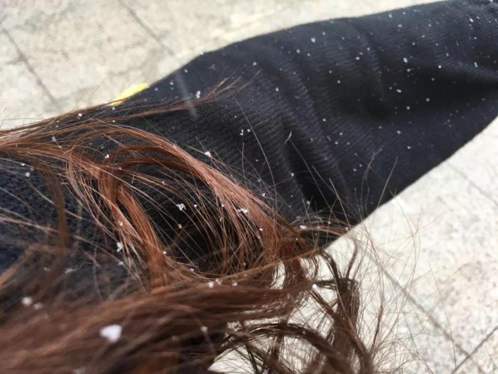 剛剛！南昌下雪啦！明后天還有更大的！江西元旦天氣出爐！