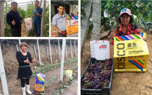 迪斯科榮獲“國肥價(jià)值品牌” 董事長(zhǎng)陳家輝釋放品牌戰(zhàn)略新信息