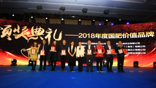 迪斯科榮獲“國肥價(jià)值品牌” 董事長(zhǎng)陳家輝釋放品牌戰(zhàn)略新信息