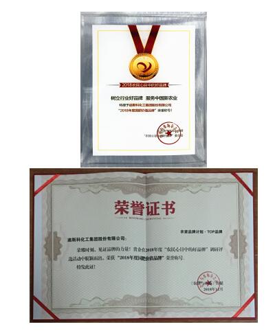 迪斯科榮獲“國肥價(jià)值品牌” 董事長(zhǎng)陳家輝釋放品牌戰(zhàn)略新信息