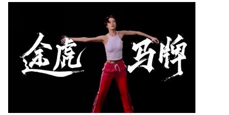 百年馬牌聯(lián)合正品途虎 打造定制品牌營銷