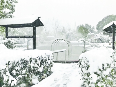 大雪突降，長江日報記者探訪各行各業(yè)從容應對，武漢迎來瑞雪豐年