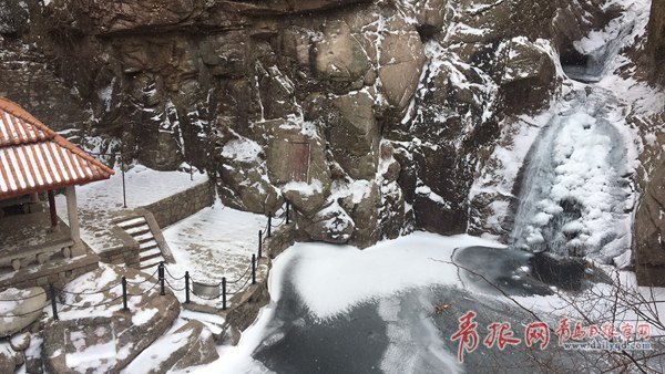 青島今天又下雪啦！最新一波雪景出爐