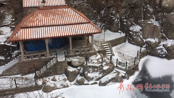 青島今天又下雪啦！最新一波雪景出爐