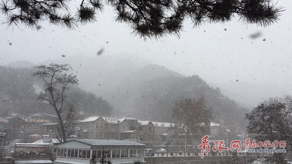 青島今天又下雪啦！最新一波雪景出爐