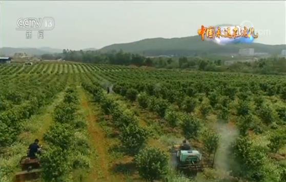 玩轉(zhuǎn)農(nóng)業(yè)新科技 農(nóng)民職業(yè)大變身 今年三農(nóng)有點(diǎn)“潮”