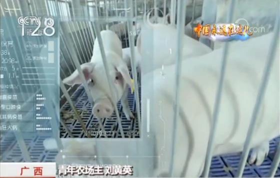 玩轉(zhuǎn)農(nóng)業(yè)新科技 農(nóng)民職業(yè)大變身 今年三農(nóng)有點(diǎn)“潮”