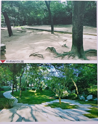 屏山公園熱鬧開園！重裝迎客的ta美極了……