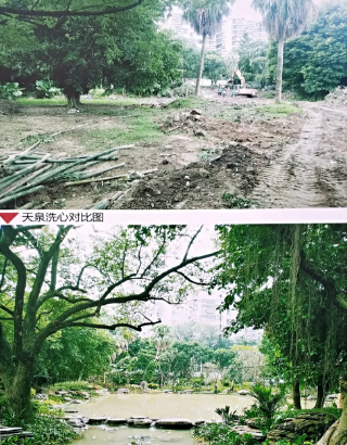 屏山公園熱鬧開園！重裝迎客的ta美極了……