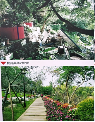 屏山公園熱鬧開園！重裝迎客的ta美極了……