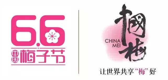 15秒抖音，1.5億次傳播！溜溜梅制造了零食界第一條抖音營(yíng)銷典范！