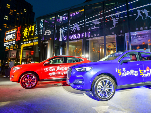 2018年車市營銷盤點，哈弗F系列成最大贏家