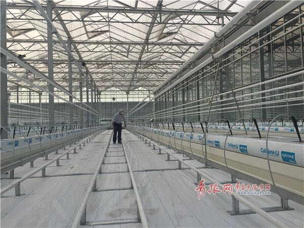 打造國家現(xiàn)代農(nóng)業(yè)示范區(qū) 市政府出臺重磅規(guī)劃！