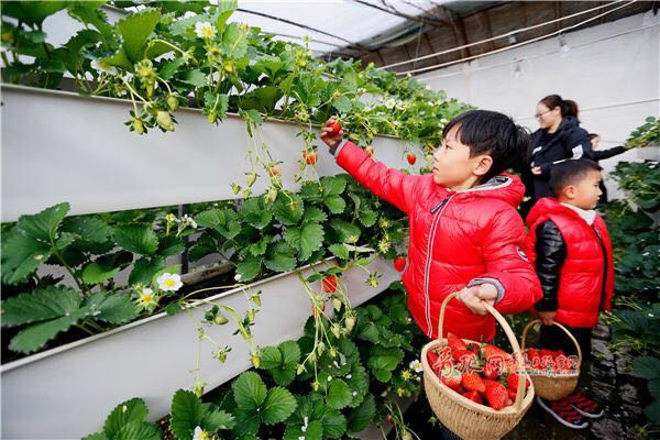 打造國家現(xiàn)代農(nóng)業(yè)示范區(qū) 市政府出臺重磅規(guī)劃！