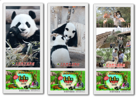 旅游市場持續(xù)升溫，新潮傳媒成旅游品牌營銷重要媒介