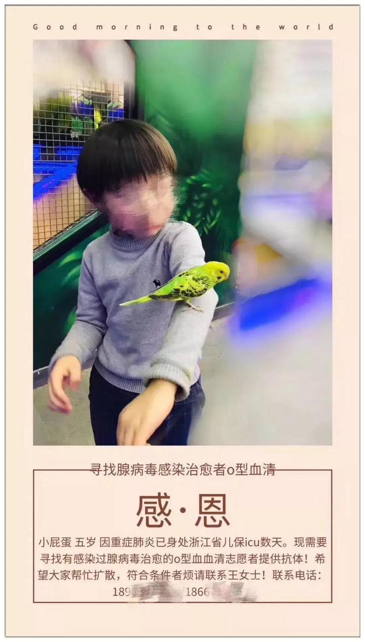 “小屁蛋”急尋救命血清 關鍵時刻站出來的是位空軍叔叔