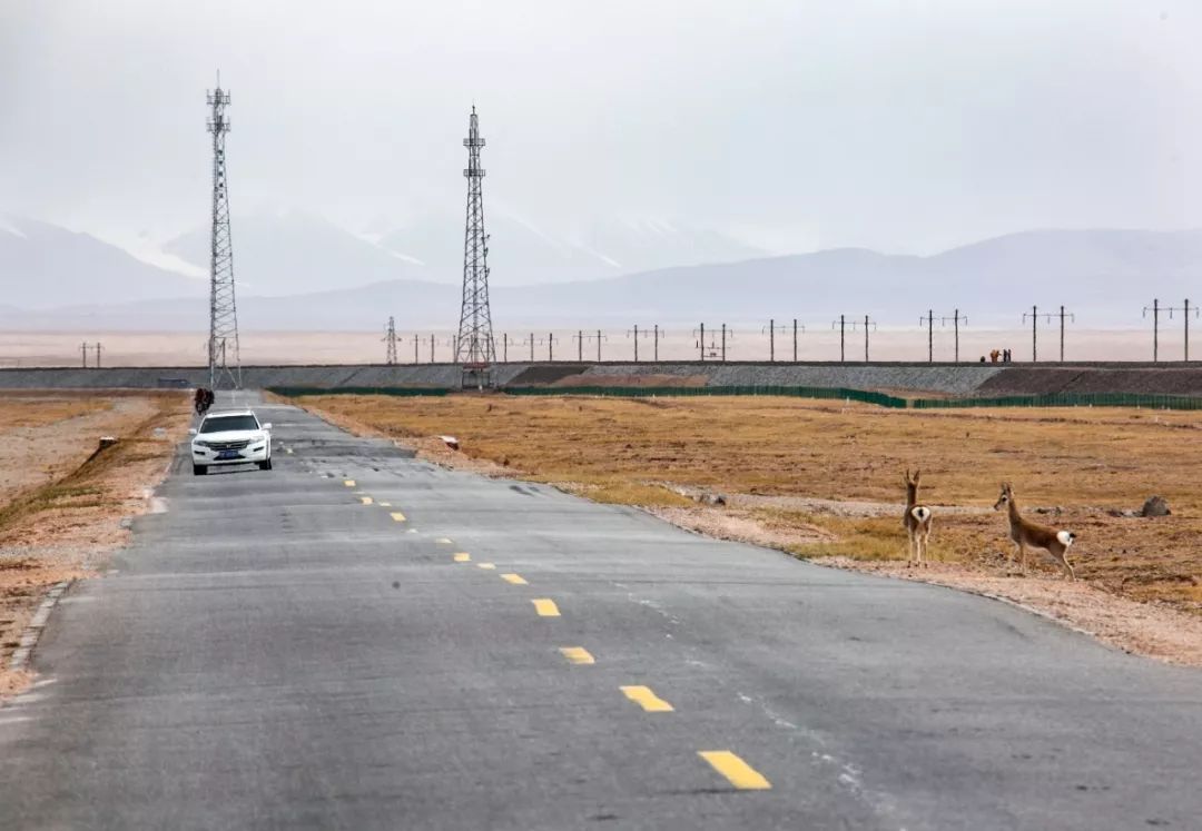 通往西藏之路，有多難？