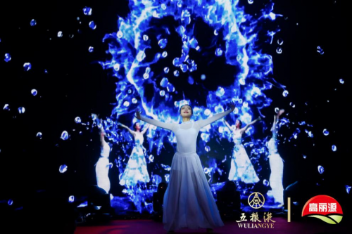 “和美中國年，五糧共舉杯” 2019年高麗源新春團拜會成功舉辦