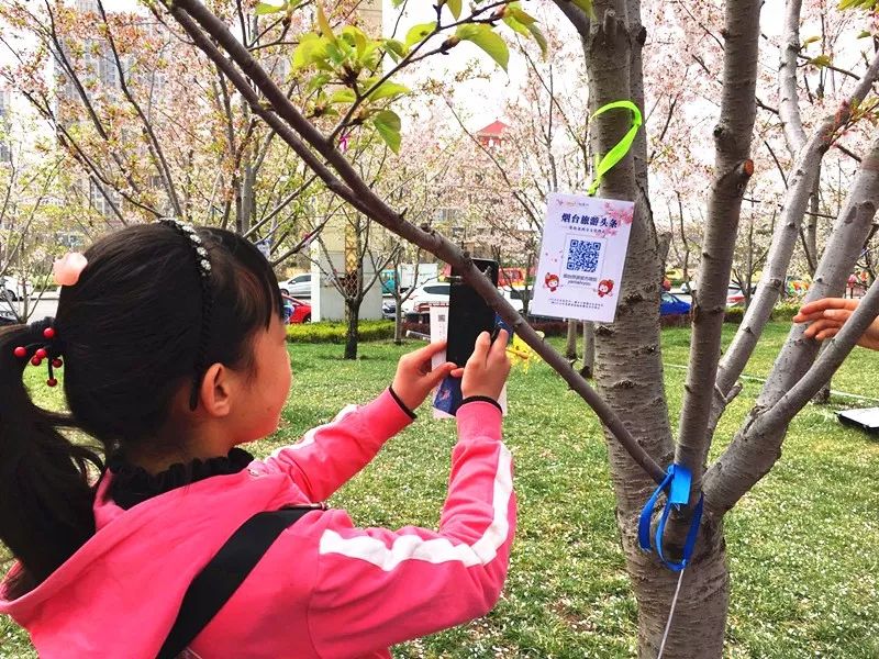 仙境海岸 鮮美煙臺(tái)| 煙臺(tái)旅游網(wǎng)絡(luò)營銷獲評(píng)全省年度十佳優(yōu)秀案例