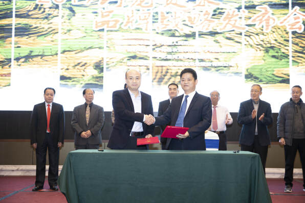 2019寧化河龍貢米品牌戰(zhàn)略發(fā)布會(huì)在福州舉行