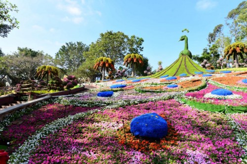 東莞隱賢山莊新年火爆開(kāi)啟 抖音打卡視頻播放量突破2000萬(wàn)