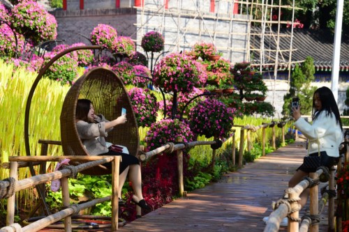 東莞隱賢山莊新年火爆開(kāi)啟 抖音打卡視頻播放量突破2000萬(wàn)