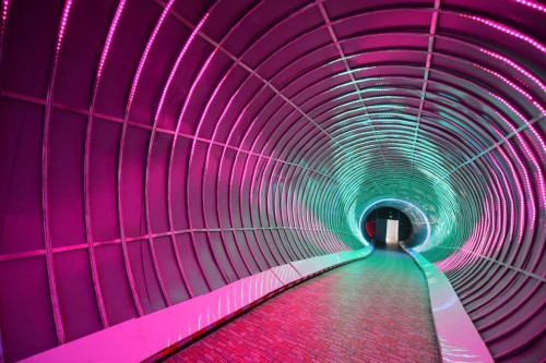 東莞隱賢山莊新年火爆開(kāi)啟 抖音打卡視頻播放量突破2000萬(wàn)