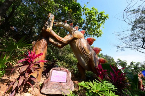 東莞隱賢山莊新年火爆開(kāi)啟 抖音打卡視頻播放量突破2000萬(wàn)