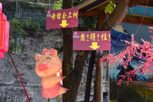 東莞隱賢山莊新年火爆開(kāi)啟 抖音打卡視頻播放量突破2000萬(wàn)