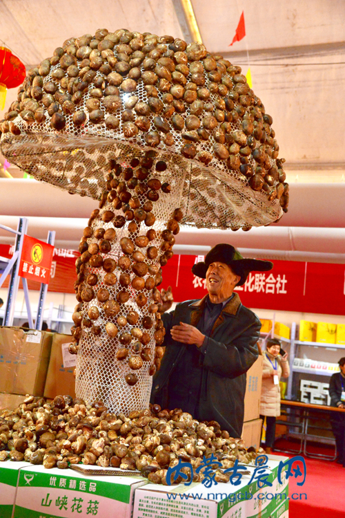 脫貧攻堅(jiān)新舉措 清水河產(chǎn)品區(qū)域公共品牌“窯上田”發(fā)布