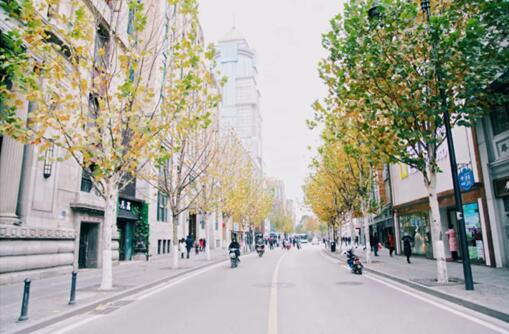 武漢邀請(qǐng)89高校大學(xué)生“丈量”最美街道 2019大學(xué)生城市街道設(shè)計(jì)大賽啟動(dòng)