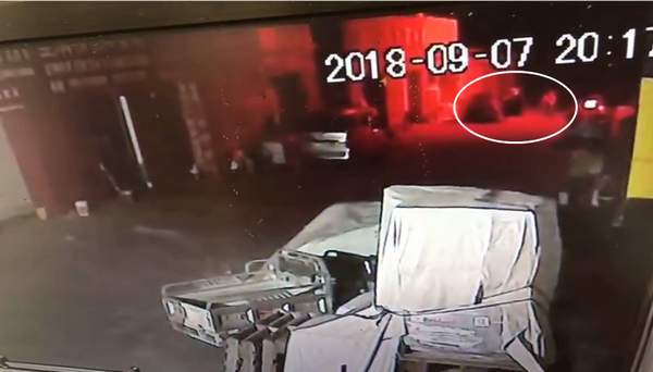 撿狗以盜竊被拘？監(jiān)控視頻公布 男子:不能證明我偷