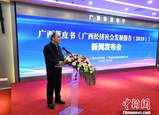 圖為廣西社會科學(xué)院院長陳立生介紹《廣西經(jīng)濟(jì)社會發(fā)展報告(2019)》相關(guān)情況?！铌?攝
