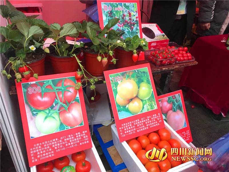 快來買年貨！第十屆四川省農(nóng)民合作社優(yōu)質農(nóng)產(chǎn)品迎春大聯(lián)展舉辦