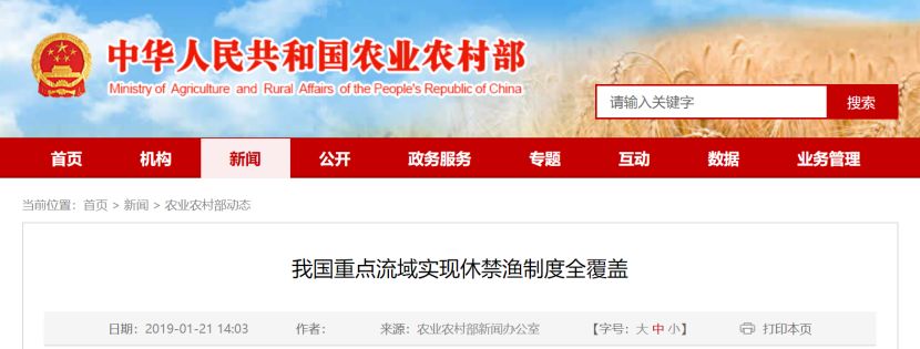 這種7800元/斤的天價美味，以后你可能吃不到了