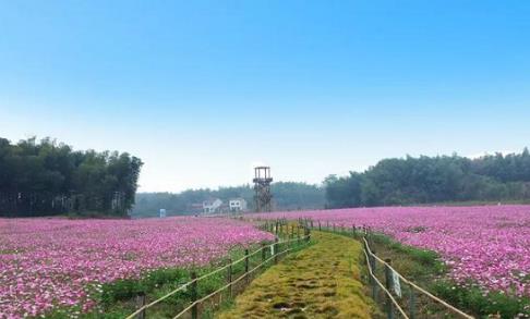 中國(guó)旅游新聞網(wǎng)：聚焦產(chǎn)業(yè)融合發(fā)展 湖北赤壁全域旅游特色凸顯