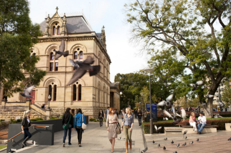 中國旅游新聞網(wǎng)：租租車新年活動：南澳自駕盡享海岸美景及假日風(fēng)情