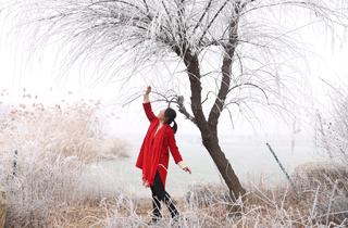 山西運城：出現(xiàn)罕見的霧凇景觀 城市變身冰雪王國