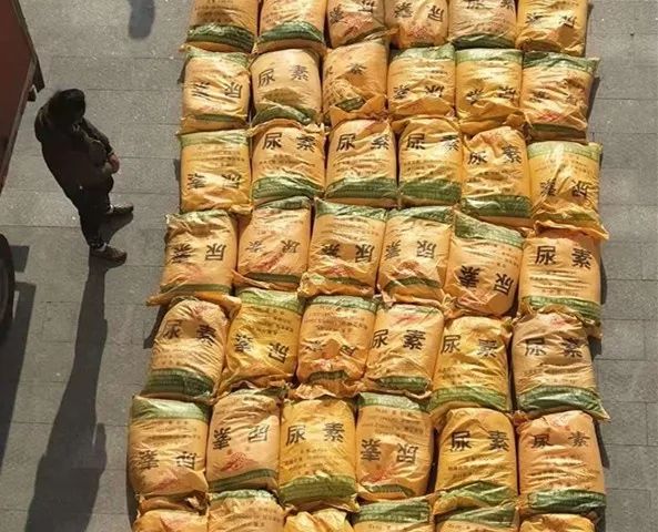 繳毒1.25噸，又一家族式全鏈條特大跨省制販毒團伙覆滅